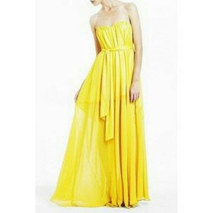 BCBG by Max Azria Maras Strapless Gown